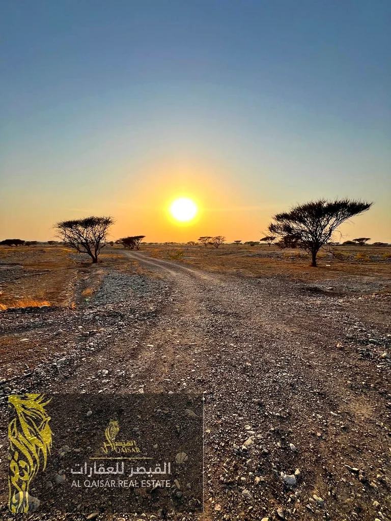 فرصة استثمارية لا يمكن تفويتها – أرض سكنية للبيع في السيح، رأس الخيمة 🔥63197606193026114