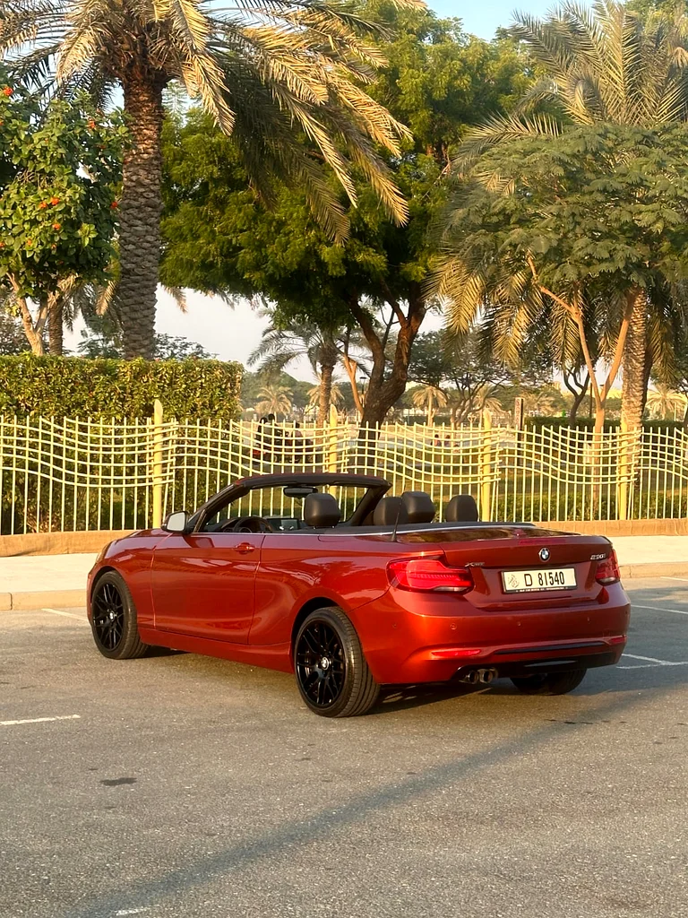 BMW 2-SERIES 230I   CONVERTIBLE 201863228782585219111