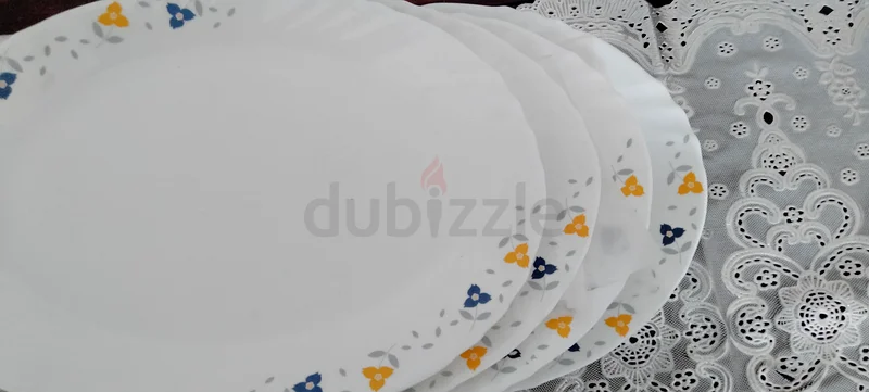 Dinner plates63215872418946110