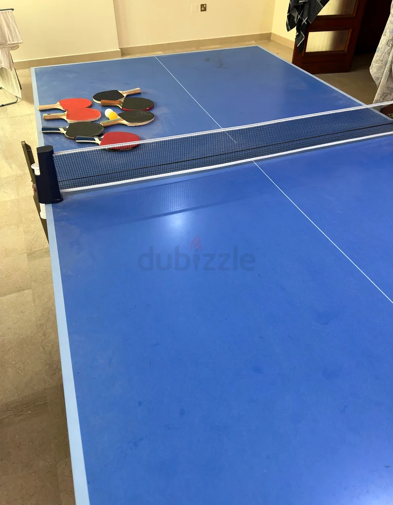 مجموعة تنس طاولة عالية الجودة للبيع - ابدأ لعبتك الآن!63170406891777113