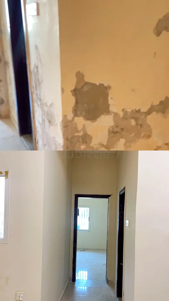 Home maintenance/repair services63216363173635112