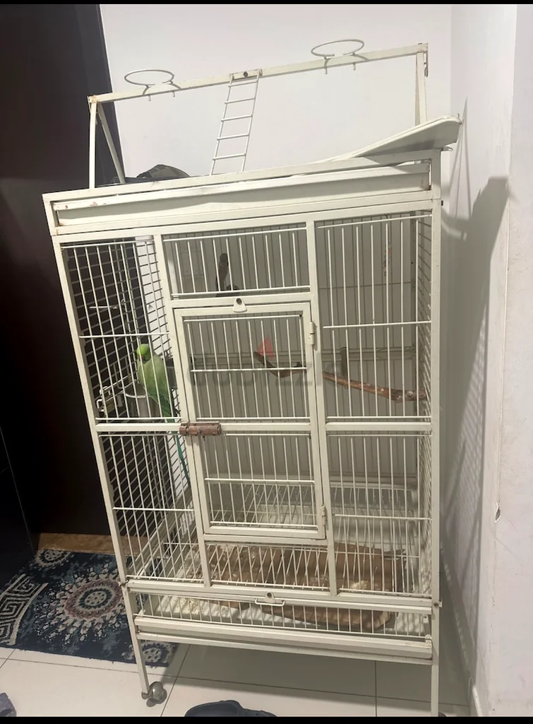 قفص ببغاء.63233132074497113