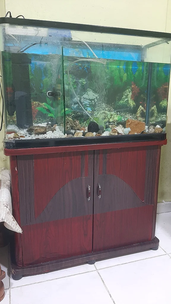 Elegant Aquarium Stand with Glass Tank - Perfect for Your Home size: 800 x 300 used fish tank632321595434251113