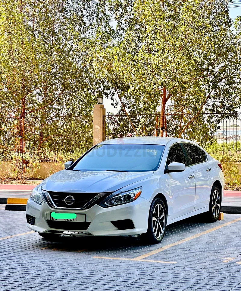السيد راشد63147206955138111