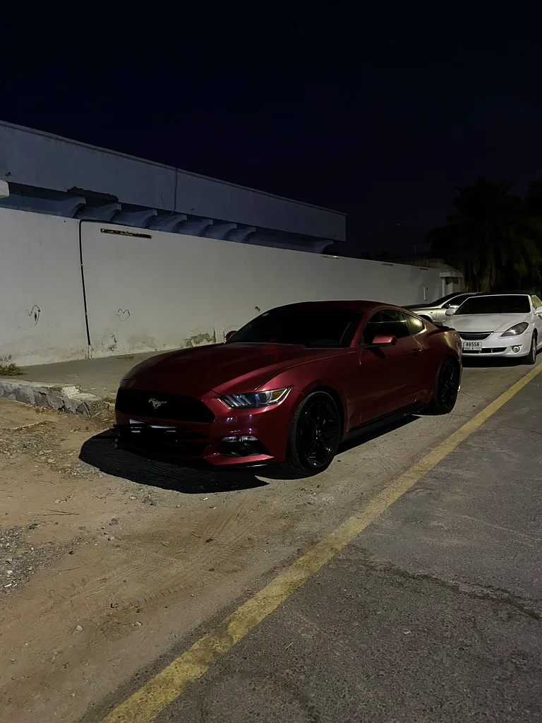 Fast sale mustang ecoboost premium631504813218581110