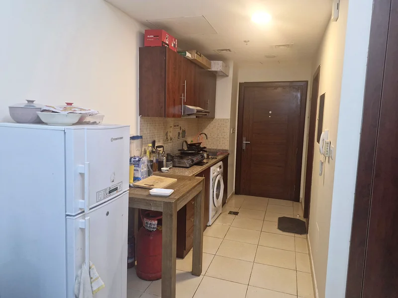 Chiller free Furnished Studio for rent, available from next weekend63130901223425111