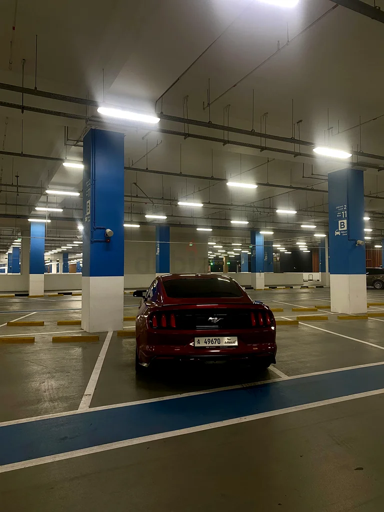 Fast sale mustang ecoboost premium63150481321858111