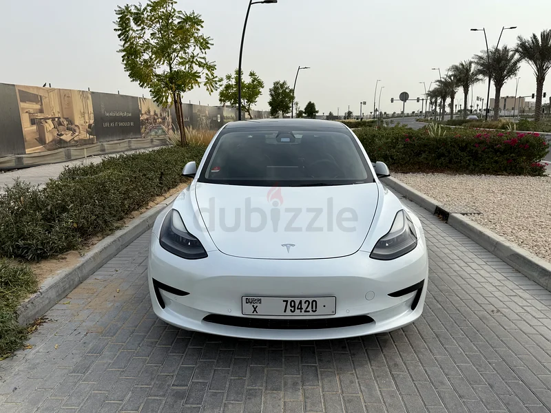 2021 Tesla Model 3 Standard Plus63175258872193112