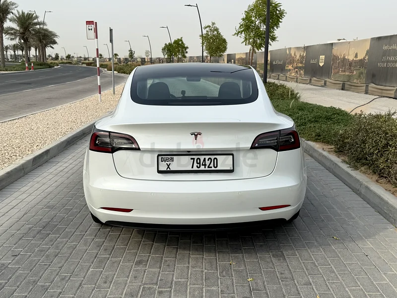 2021 Tesla Model 3 Standard Plus63175258872193114