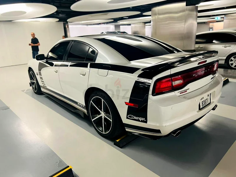 Dodge charger SRT63153229231362113