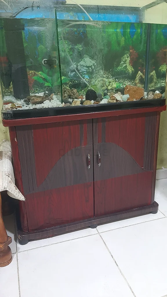 Elegant Aquarium Stand with Glass Tank - Perfect for Your Home size: 800 x 300 used fish tank63232159543425111