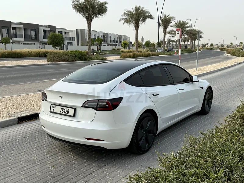 2021 Tesla Model 3 Standard Plus63175258872193113