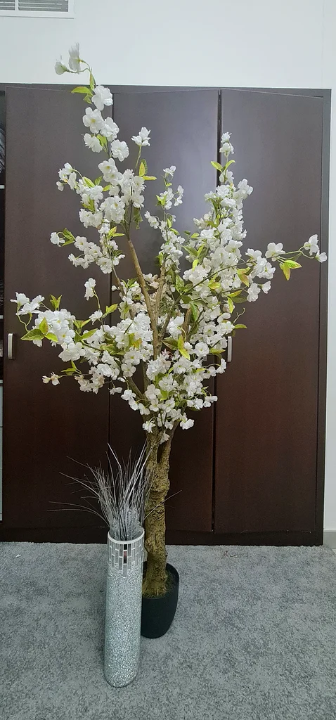 النبات الاصطناعي63183732429571111