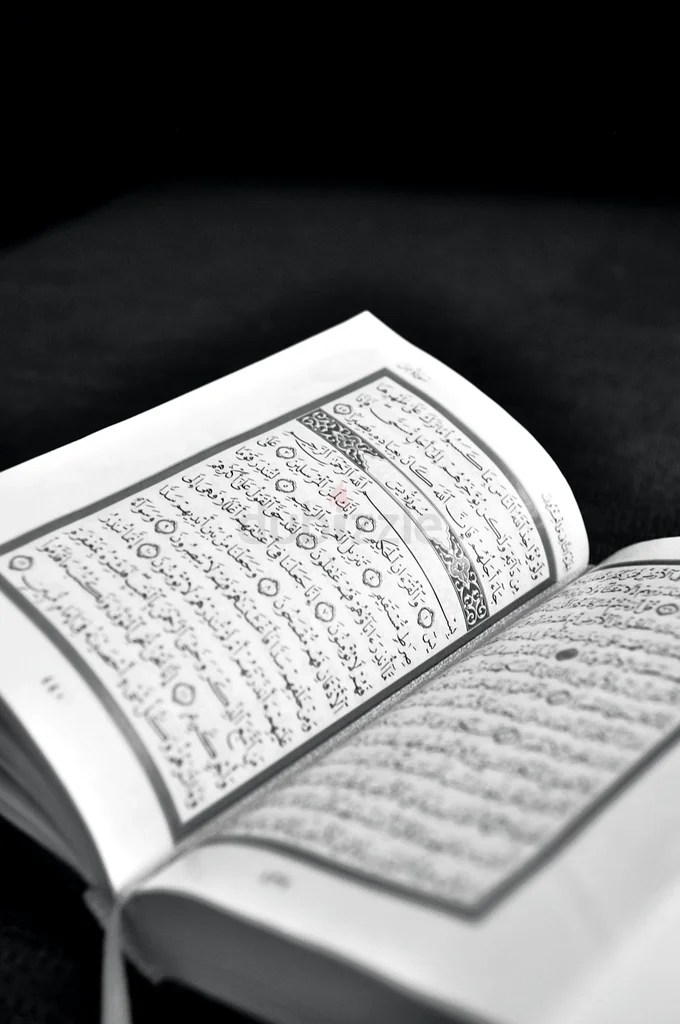 Quran classes with expert online female Qaria for all ages peoples632188165856011119