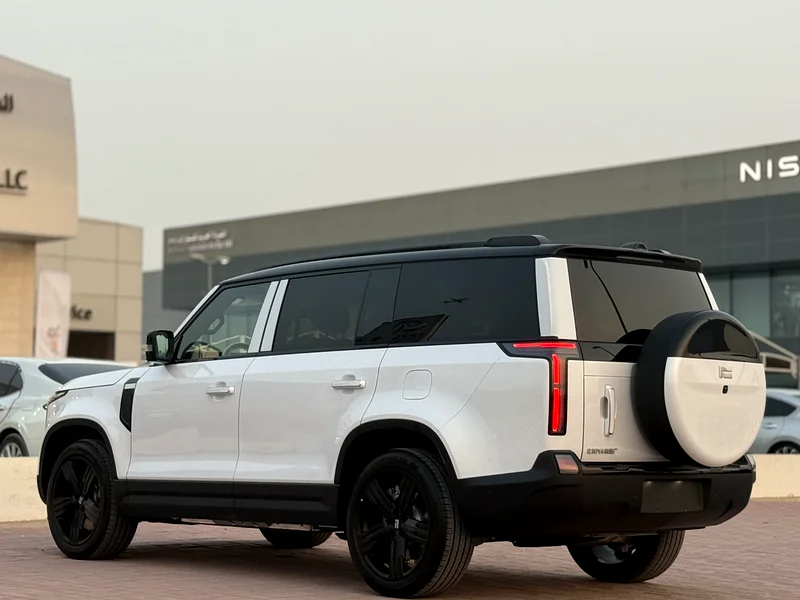 Model: Rox 01
Year: 2025
Battery: Long Range Version – High Capacity
Seating: 7 Comfortable Seats –63398476667779113