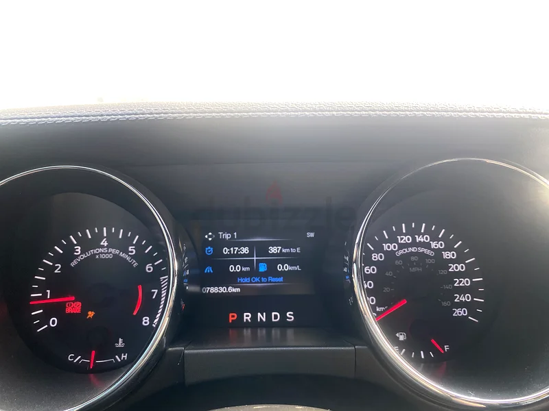 Fast sale mustang ecoboost premium63150481321858112