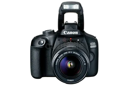 Canon EOS 4000D DSLR Camera  Comes with Canon 430ex flash and case all of them are almost new