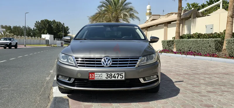 سيارة باسات cc 201363170385398273112