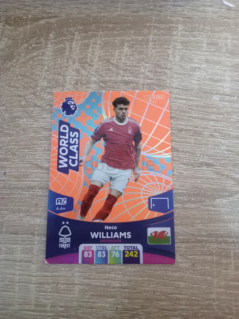 Collectible Premier League Trading Card - Neco Williams Mint Condition63208386146435110
