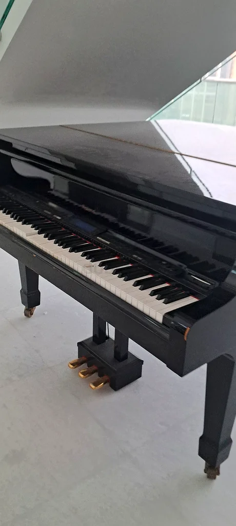 Musical item for sale63206383498241112