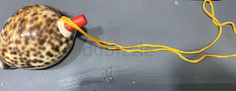 لعبة صدفة شاطئ طبيعية تعزف بالهواء63206389748354111