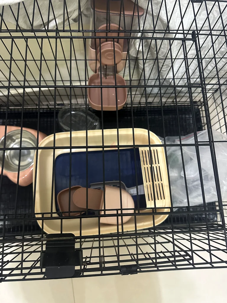 Cage with cat supplies632346182016011124