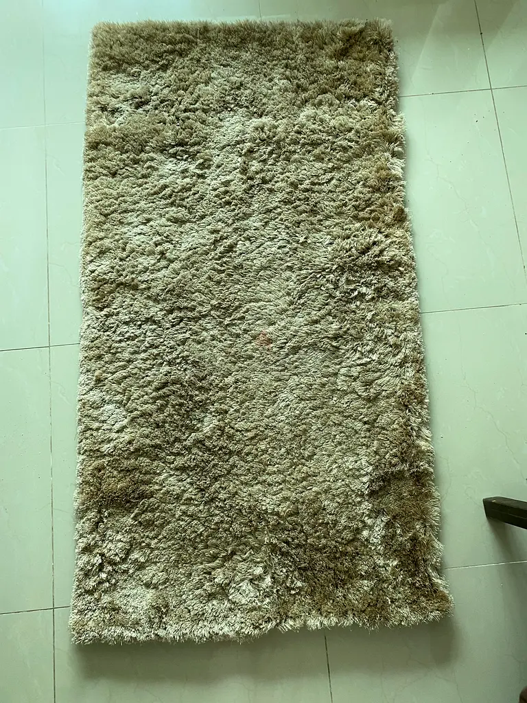 سجّادتان