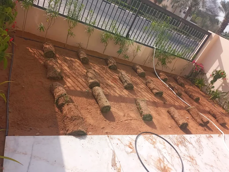 Professional landscape services63441781932930114