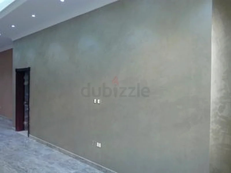 All type of paint services/professional painter GOOD price. Apartment. Villa. Building. Schools63216842313217114