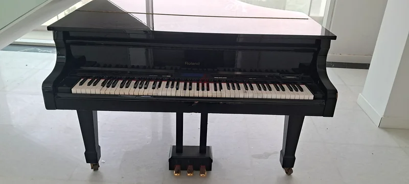 Musical item for sale63206383498241111