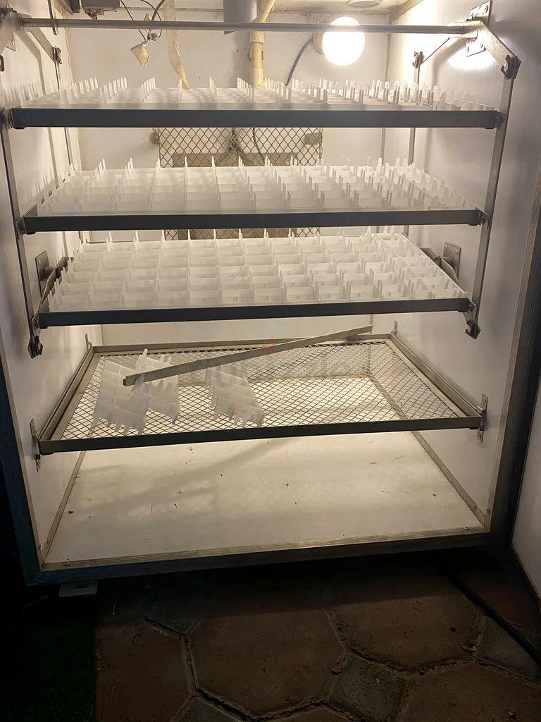 Eggs incubator63258656534017113