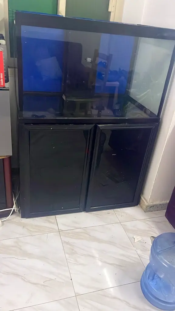 حوض سمك 100 مع طاولة