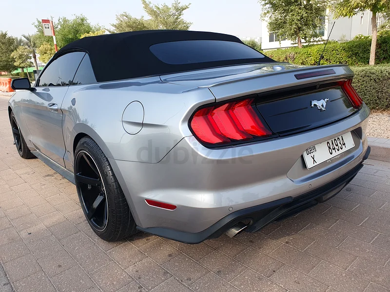 2023 إيكو بوسْت دارك هورس، نظيف جدًا63148646736257113