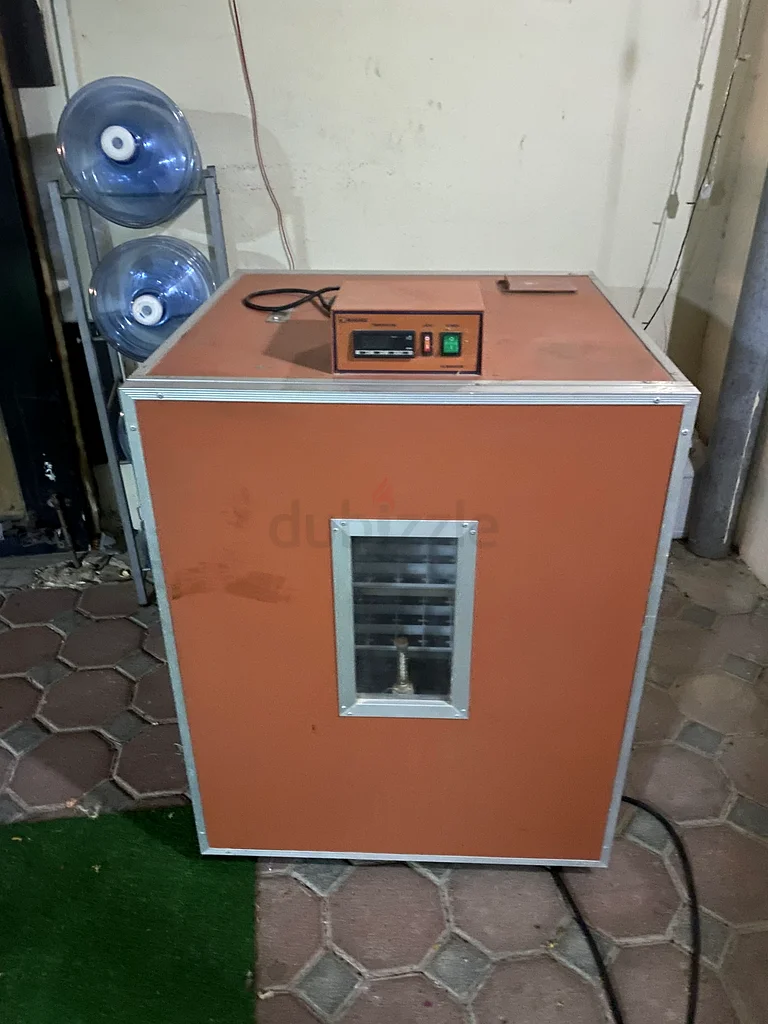 Eggs incubator63258656534017111