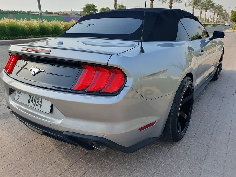 2023 إيكو بوسْت دارك هورس، نظيف جدًا63148646736257112
