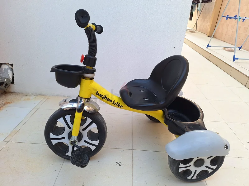 Brighten Your Childs Day with This Fun Trike!632078889482271120