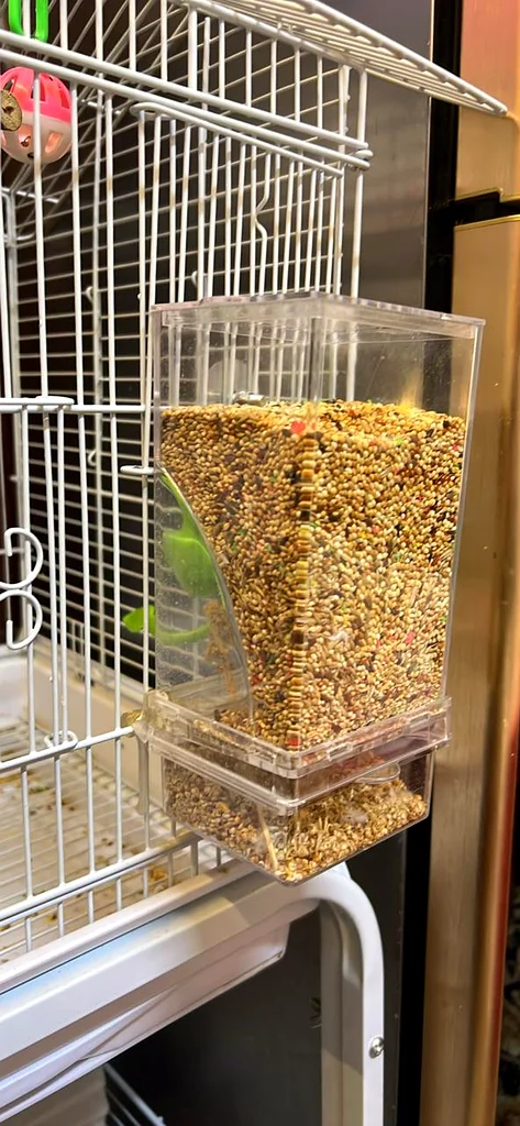 Spacious Bird Cage with Stand for Sale!63232162076291111