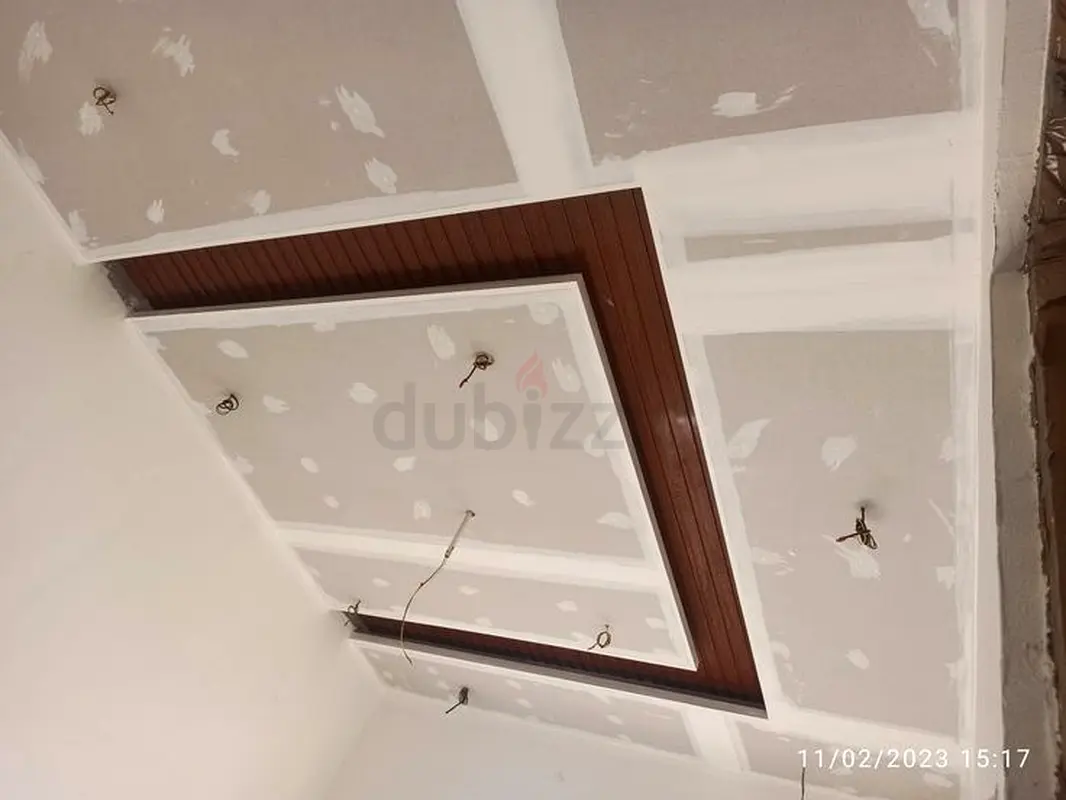 DPV_View_Image_7