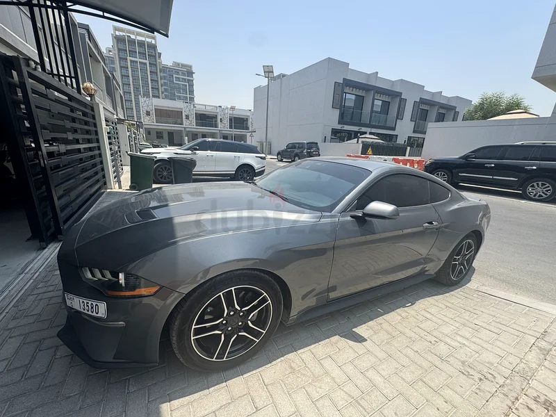 Ford Mustang ecoboost63156539485441113