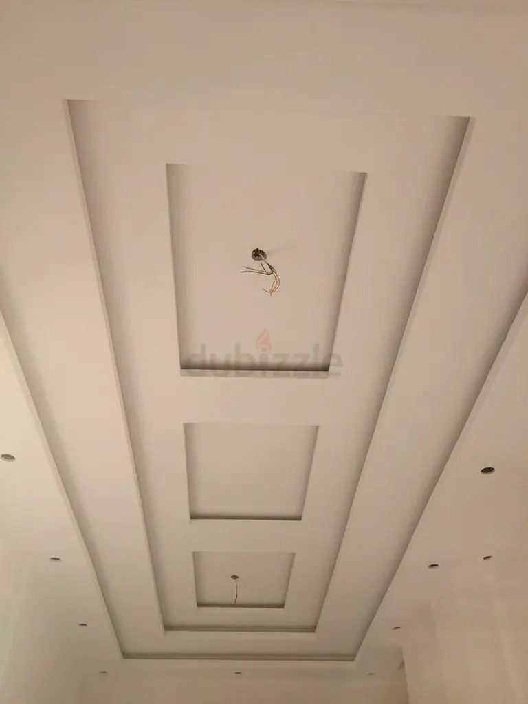 DPV_View_Image_7