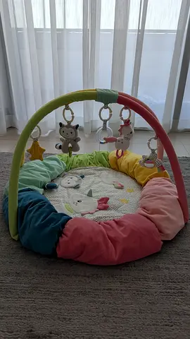 Play Gym and Activity Mat for Babies