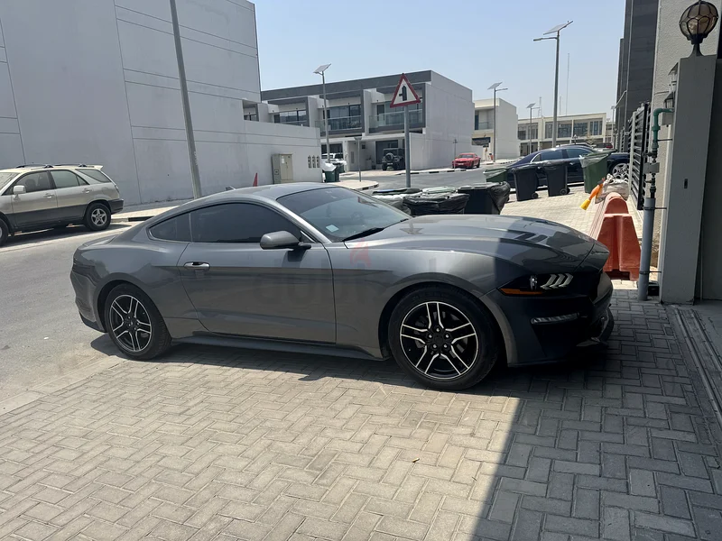 Ford Mustang ecoboost63156539485441111