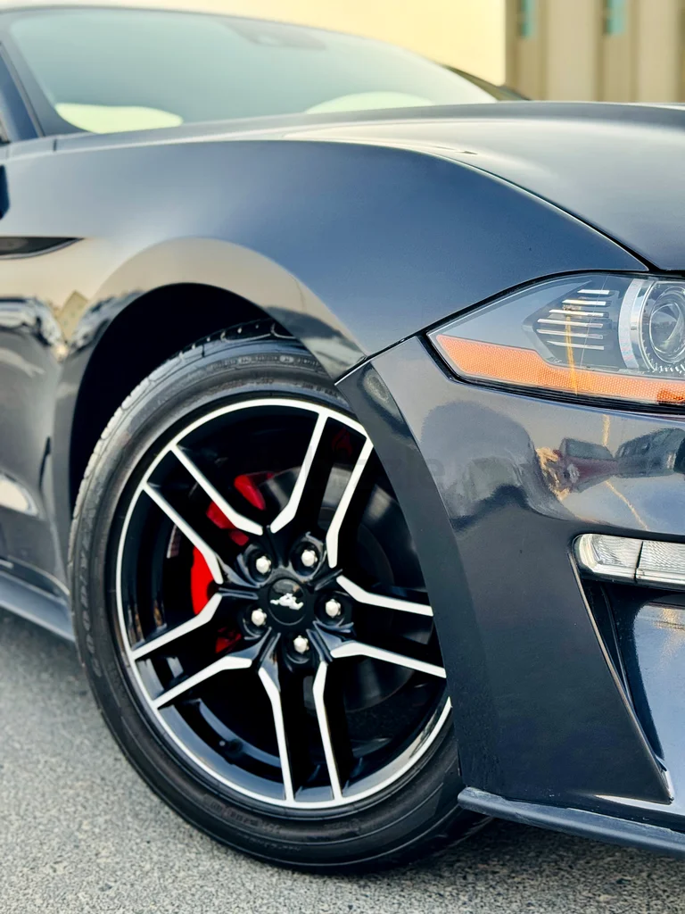FORD MUSTANG 2023 EcoBoost63148646784259114
