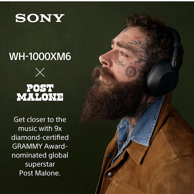 Sony WH-1000XM663165713460609113