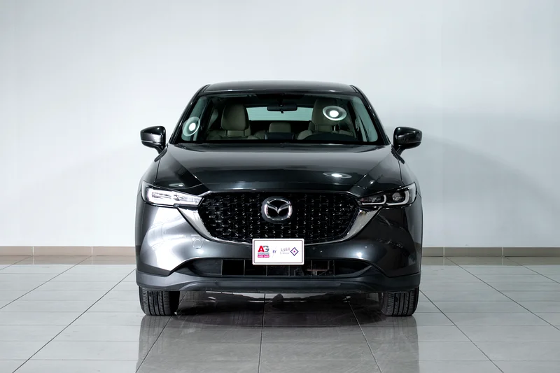 1 YR DEALER WARRANTY | GCC | AED 1150 | 2.5 L63136479141251111
