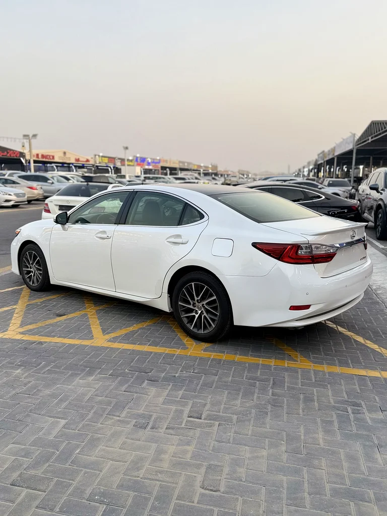 GCC63155551539459113