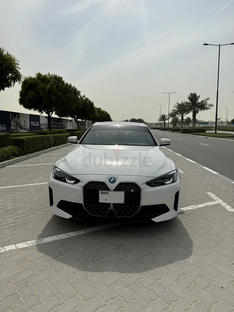 BMW I463161067616259110