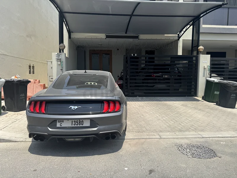 Ford Mustang ecoboost63156539485441112