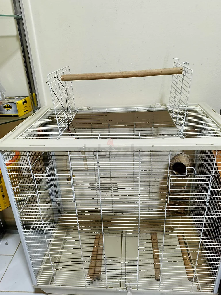 Bird Cage63233127399554111
