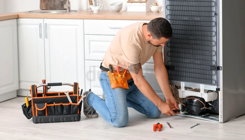 Best Same Day Fridge Repair63217829471747111